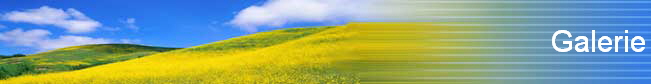 Galerie